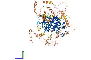 Protein Structure (PS) image for Mitogen-Activated Protein Kinase 6 (MAPK6) (AA 1-720) protein (His tag) (ABIN7563919)