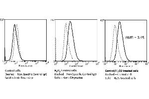 Flow Cytometry analysis using Mouse Anti-Dityrosine Monoclonal Antibody, Clone 10A6 (ABIN5067469). (Dityrosine 抗体)