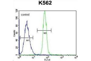 Flow cytometric analysis of K562 cells using LRRC63 Antibody (C-term) Cat. (LRRC63 抗体  (C-Term))