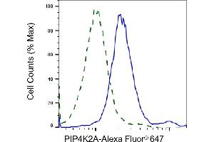 Flow cytometric analysis of PIP4K2A expression in HT- cells using PIP4K2A antibody (ABIN7799795), 1:2,000).