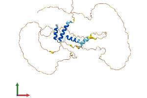 Protein Structure (PS) image for Single-Stranded DNA Binding Protein 2 (SSBP2) (AA 1-361) protein (His tag) (ABIN7560765)