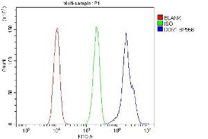 Flow Cytometry analysis of A431 cells using anti-DDR1 antibody (ABIN7601407). (DDR1 抗体  (AA 341-909))