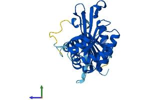 Protein Structure (PS) image for Glutamate-Cysteine Ligase, Modifier Subunit (GCLM) (AA 1-274) protein (His tag) (ABIN7562255)