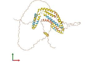 Protein Structure (PS) image for Perilipin 1 (PLIN1) (AA 1-517) protein (His tag) (ABIN7559327)