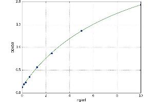 A typical standard curve