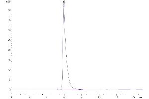 Size-exclusion chromatography-High Pressure Liquid Chromatography (SEC-HPLC) image for Cytotoxic and Regulatory T Cell Molecule (CRTAM) (AA 18-287) protein (Fc Tag) (ABIN7274414)