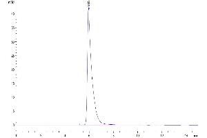 The purity of Cynomolgus CRTAM is greater than 95 % as determined by SEC-HPLC. (CRTAM Protein (AA 18-287) (Fc Tag))