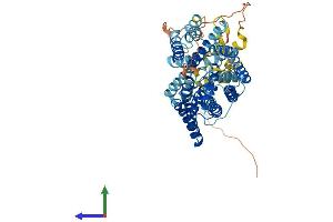 Protein Structure (PS) image for Solute Carrier Family 38, Member 9 (SLC38A9) (AA 1-560) protein (His tag) (ABIN7564337)
