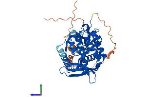 Protein Structure (PS) image for Exonuclease 5 (EXO5) (AA 1-373) protein (His tag) (ABIN7560723)