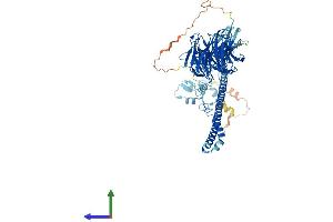 Protein Structure (PS) image for Tripartite Motif Containing 2 (TRIM2) (AA 1-744) protein (His tag) (ABIN7561479)
