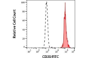 Separation of human CD20 positive lymphocytes (red-filled) from neutrophil granulocytes (black-dashed) in flow cytometry analysis (surface staining) of human peripheral whole blood stained using anti-human CD20 (2H7) FITC antibody (20 μL reagent / 100 μL of peripheral whole blood). (CD20 抗体  (FITC))