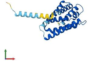 AlphaFold protein structure predicition of Mouse Recombinant Tnfaip8l1 Protein, UniprotID Q8K288