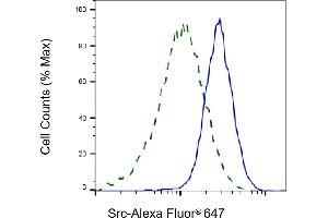 Validation of Src knockdown using flow cytometry. (Recombinant Src 抗体)