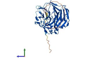 Protein Structure (PS) image for Rab9 Effector Protein with Kelch Motifs (RABEPK) (AA 1-380) protein (His tag) (ABIN7559818)