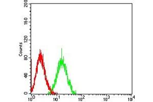 Flow Cytometry (FACS) image for anti-Signal-Regulatory Protein gamma (SIRPG) (AA 29-360) antibody (ABIN7193314)