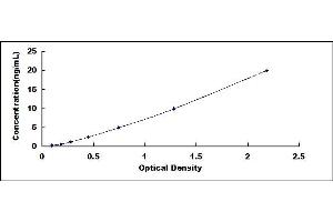 Typical standard curve (TOM70 ELISA 试剂盒)