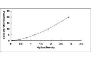 Typical standard curve (LDHB ELISA 试剂盒)