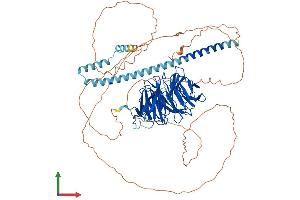 AlphaFold protein structure predicition of Human Recombinant TLE4 Protein, UniprotID Q04727 (TLE4 Protein (AA 1-773) (His tag))