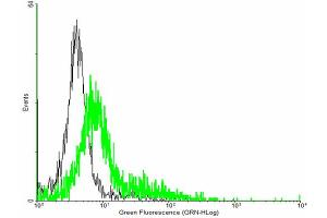 FACS analysis of negative control 293 cells (Black) and GIT2 expressing 293 cells (Green) using GIT2 purified MaxPab mouse polyclonal antibody. (GIT2 抗体  (AA 1-471))