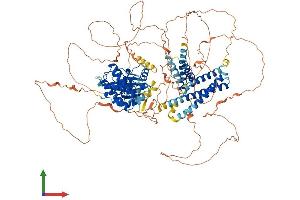 Protein Structure (PS) image for Unc-51 Like Kinase 2 (ULK2) (AA 1-1036) protein (His tag) (ABIN7555930)