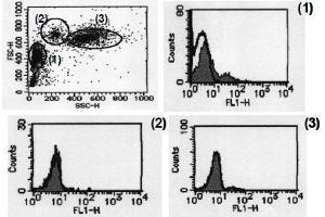 Flow Cytometry (FACS) image for anti-CD274 (PD-L1) antibody (ABIN1449173) (PD-L1 抗体)