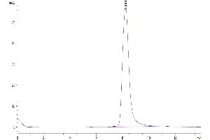 Size-exclusion chromatography-High Pressure Liquid Chromatography (SEC-HPLC) image for Complement Factor H (CFH) (AA 860-1231) protein (His tag) (ABIN7274337)