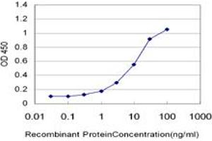 Detection limit for recombinant GST tagged DSCR1 is approximately 0. (RCAN1 抗体  (AA 1-100))