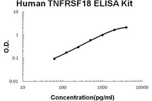 Human TNFRSF18/GITR Accusignal ELISA Kit Human TNFRSF18/GITR AccuSignal ELISA Kit standard curve. (TNFRSF18 ELISA 试剂盒)