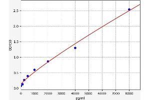 Chemokine (C-X3-C Motif) Ligand 1 (CX3CL1) ELISA Kit