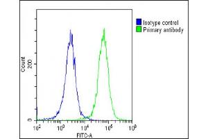 Overlay histogram showing HeLa cells stained with (ABIN6242256 and ABIN6578832)(green line).
