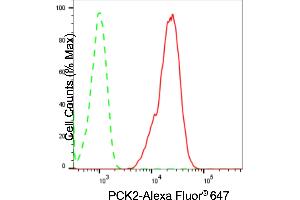 Flow cytometric analysis of PCK2 expression in C2C12 cells using PCK2 antibody (ABIN7799800), 1:2,000). (Recombinant PEPCK 抗体)