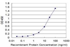 Detection limit for recombinant GST tagged PPOX is approximately 1ng/ml as a capture antibody. (PPOX 抗体  (AA 378-477))