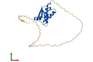 AlphaFold protein structure predicition of Mouse Recombinant Sh3bgr Protein, UniprotID Q9WUZ7 (SH3BGR Protein (AA 1-214) (His tag))