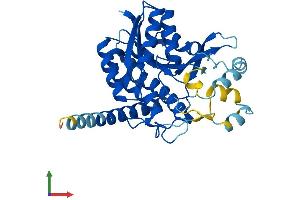 AlphaFold protein structure predicition of Human Recombinant HSD17B7 Protein, UniprotID P56937
