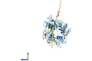 AlphaFold protein structure predicition of Human Recombinant ZNF586 Protein, UniprotID Q9NXT0