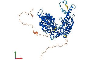 AlphaFold protein structure predicition of Mouse Recombinant Sptlc3 Protein, UniprotID Q8BG54
