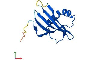 AlphaFold protein structure predicition of Mouse Recombinant Stfa2 Protein, UniprotID P35174