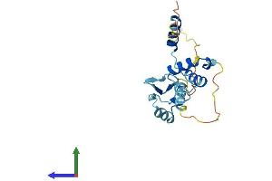 Protein Structure (PS) image for SAP30-Like (SAP30L) (AA 1-183) protein (His tag) (ABIN7546149)