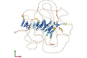 Protein Structure (PS) image for SEC16 Homolog B (SEC16B) (AA 1-1060) protein (His tag) (ABIN7555442)