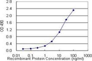 Sandwich ELISA detection sensitivity ranging from 0. (FKBP5 (人) Matched Antibody Pair)