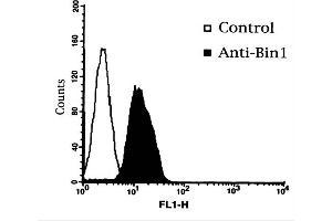 Flow Cytometry of Mouse Anti-BIN1 Antibody. (BIN1 抗体)