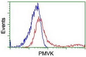 HEK293T cells transfected with either RC202867 overexpress plasmid (Red) or empty vector control plasmid (Blue) were immunostained by anti-PMVK antibody (ABIN2454969), and then analyzed by flow cytometry. (PMVK 抗体)