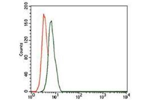 Flow cytometric analysis of HeLa cells using CD59 mouse mAb (green) and negative control (red). (CD59 抗体  (AA 31-111))