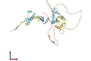 Protein Structure (PS) image for Zinc Finger Protein 57 Homolog (ZFP57) (AA 1-452) protein (His tag) (ABIN7545628)