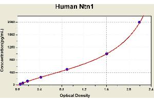 Netrin 1 (NTN1) ELISA Kit