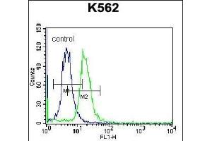 ABCD2 Antibody (C-term) (ABIN656554 and ABIN2845816) flow cytometric analysis of K562 cells (right histogram) compared to a negative control cell (left histogram). (CCL17 抗体  (C-Term))
