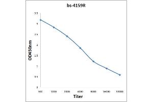 Antigen: 0. (PIK3C3 抗体  (AA 301-400))