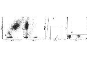 Image no. 1 for anti-CD19 Molecule (CD19) antibody (PE) (ABIN1105977) (CD19 抗体  (PE))