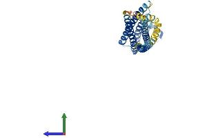 Protein Structure (PS) image for Syntaxin 1B (STX1B) (AA 1-288) protein (His tag) (ABIN7556580)