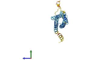 Protein Structure (PS) image for CKLF-Like MARVEL Transmembrane Domain Containing 6 (CMTM6) (AA 1-183) protein (His tag) (ABIN7560774)